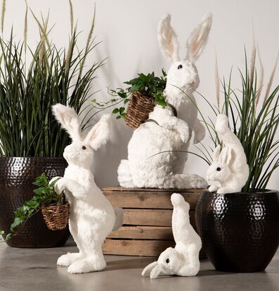 Hare Workout Set/2 från A Lot Decoration, lekfulla harar