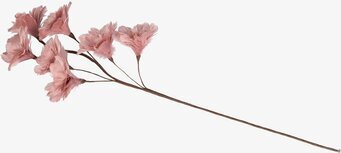 Kvist Fjäderblomma Gammelrosa från A Lot Decoration