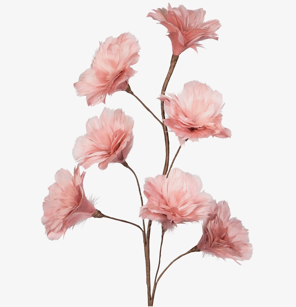 Kvist Fjäderblomma Gammelrosa från A Lot Decoration i vas