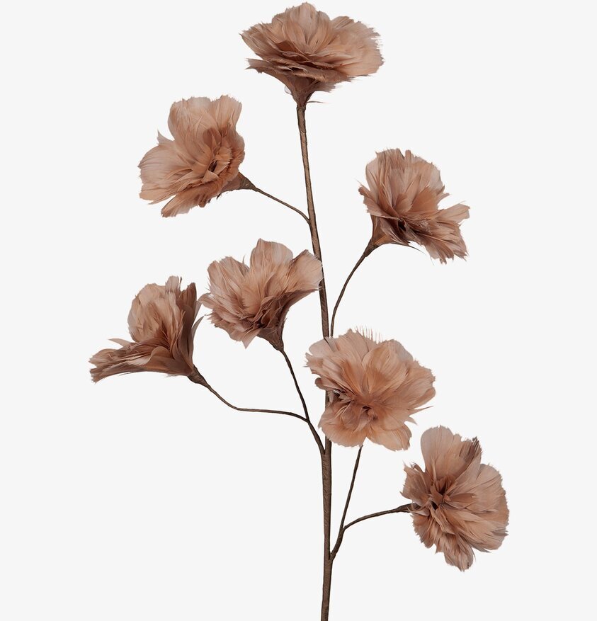 Kvist Fjäderblomma Mullvad från A Lot Decoration i vas