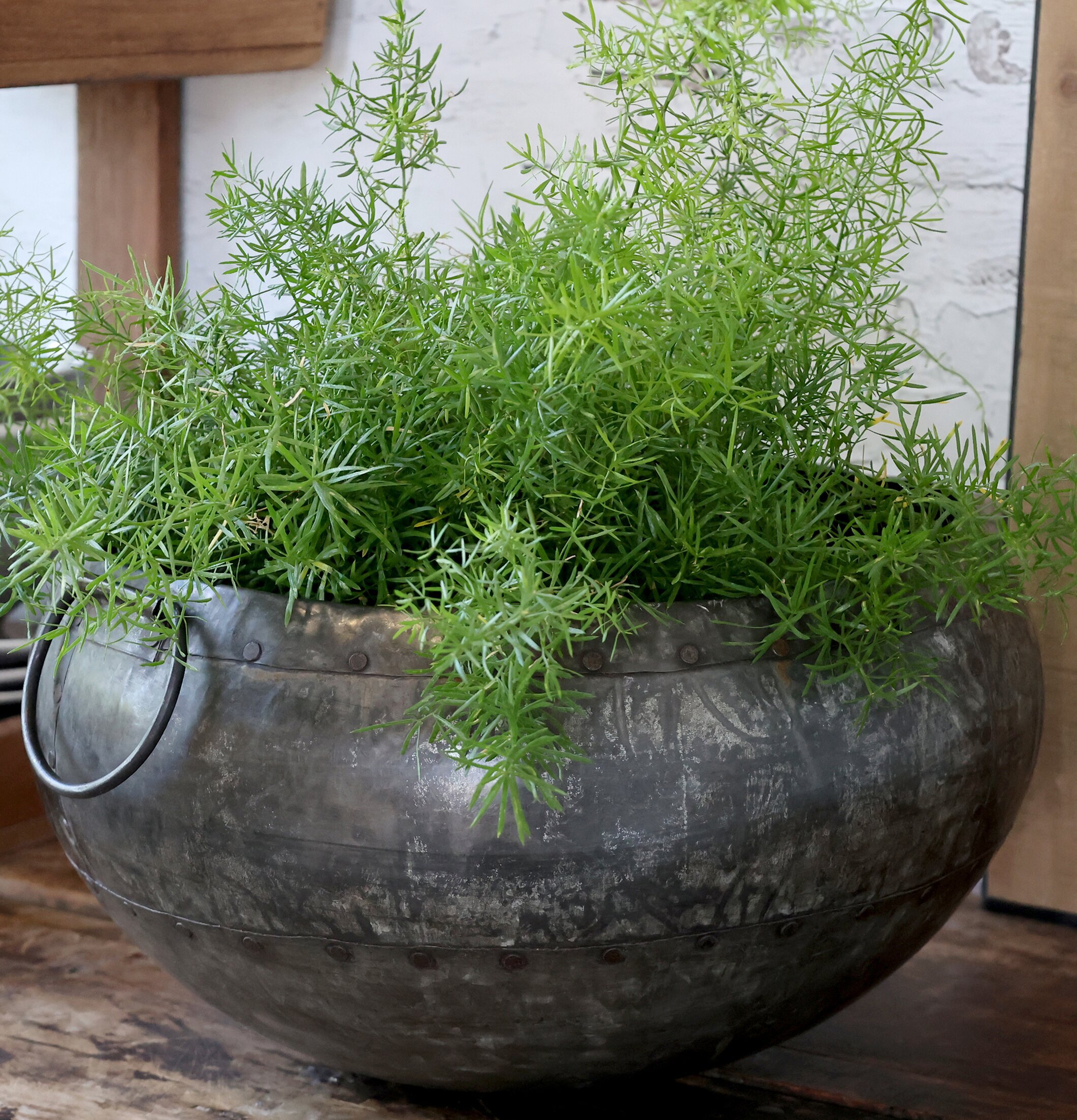 Kruka Grimaud Deko från Chic Antique på ett rått träbord