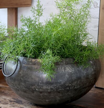 Kruka Grimaud Deko från Chic Antique på ett rått träbord