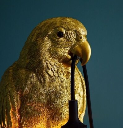 Bords/golvlampa Timmy Antikguld från Werner Voss