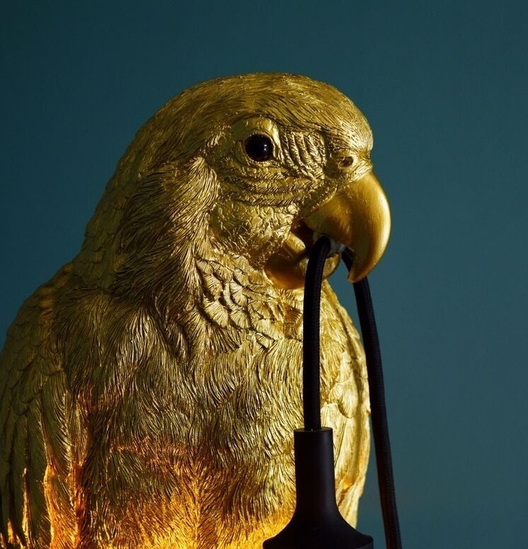 Bords/golvlampa Timmy Antikguld från Werner Voss