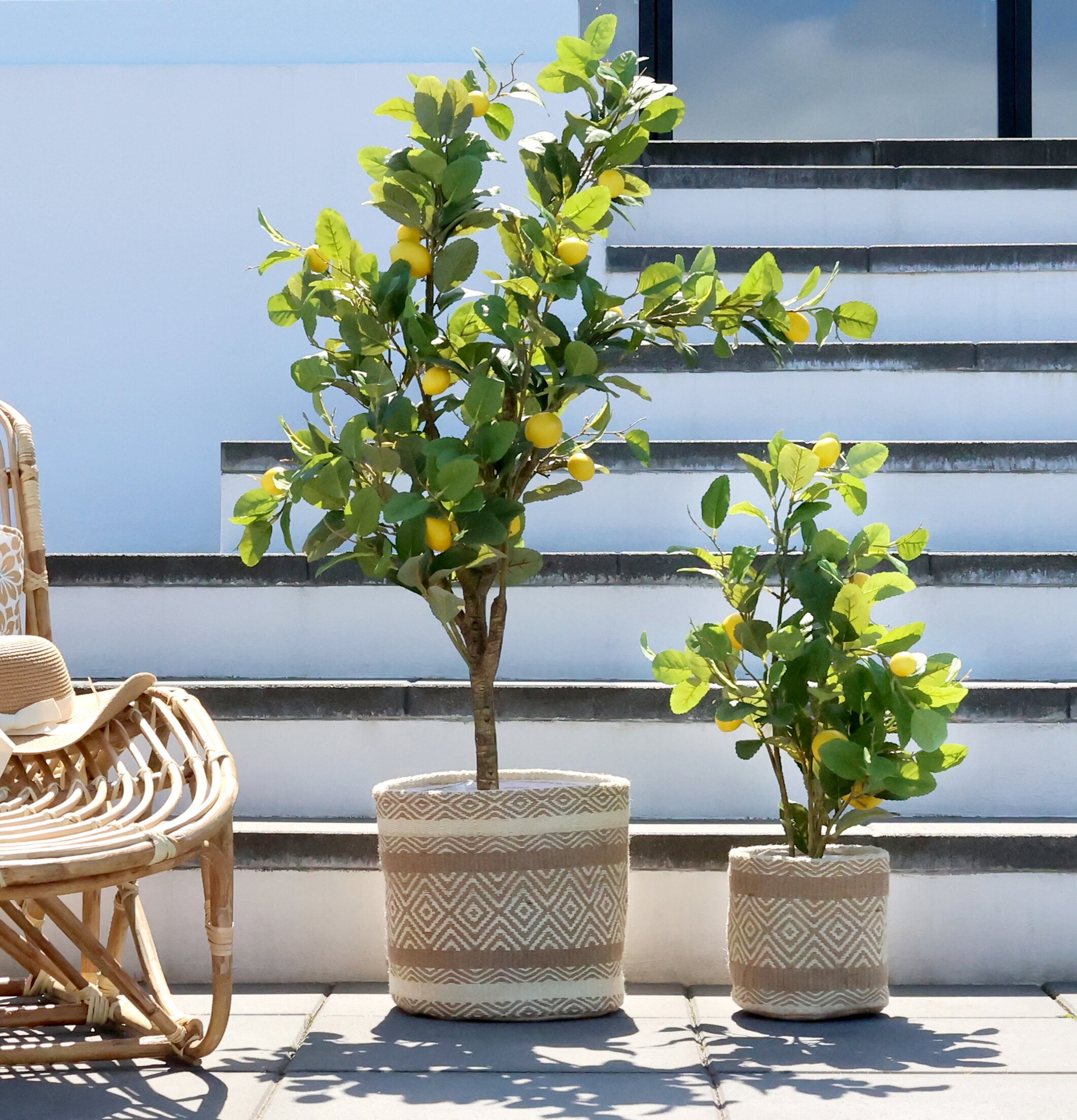 Fleur Citronträd från Chic Antique vid foten av en trappa