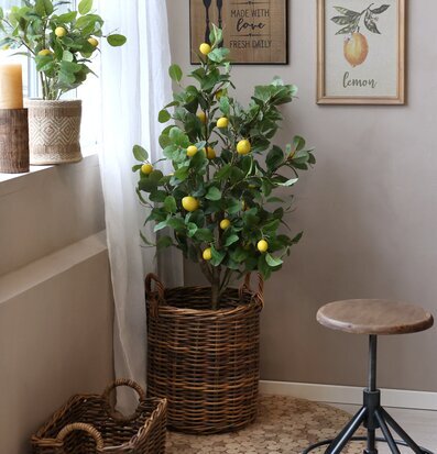 Fleur Citronträd från Chic Antique i flätad rottingkorg