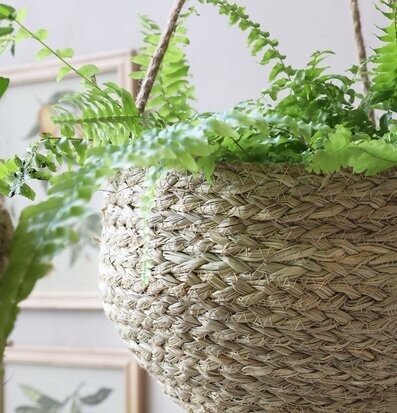 Hängande Korg Med Jute från Chic Antique med grön växt