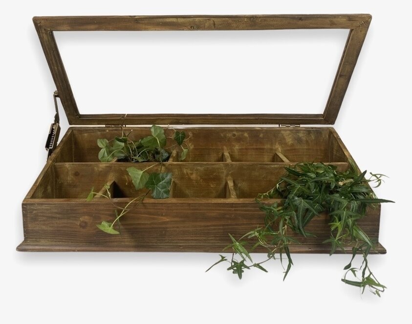 Träbox Display Med Lock från Miljögården med glaslock