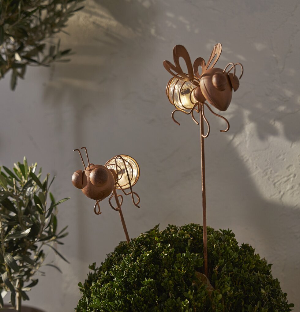 Solcellsdekoration Oxida 2-pack Myra/Fluga från Star Trading