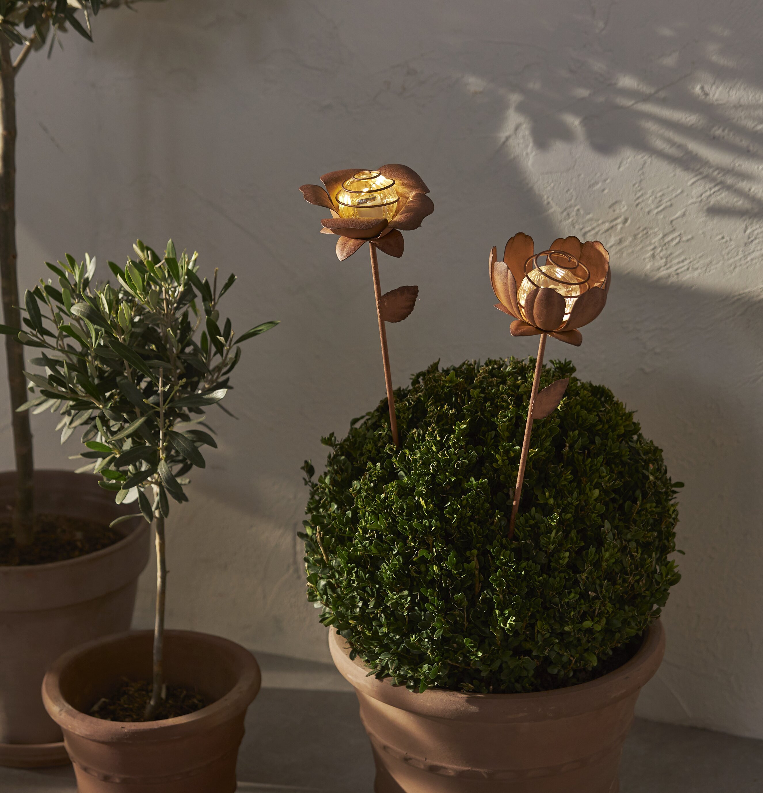 Solcellsdekoration Oxida 2-pack Blommor från Star Trading