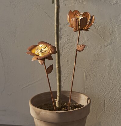 Solcellsdekoration Oxida 2-pack Blommor från Star Trading