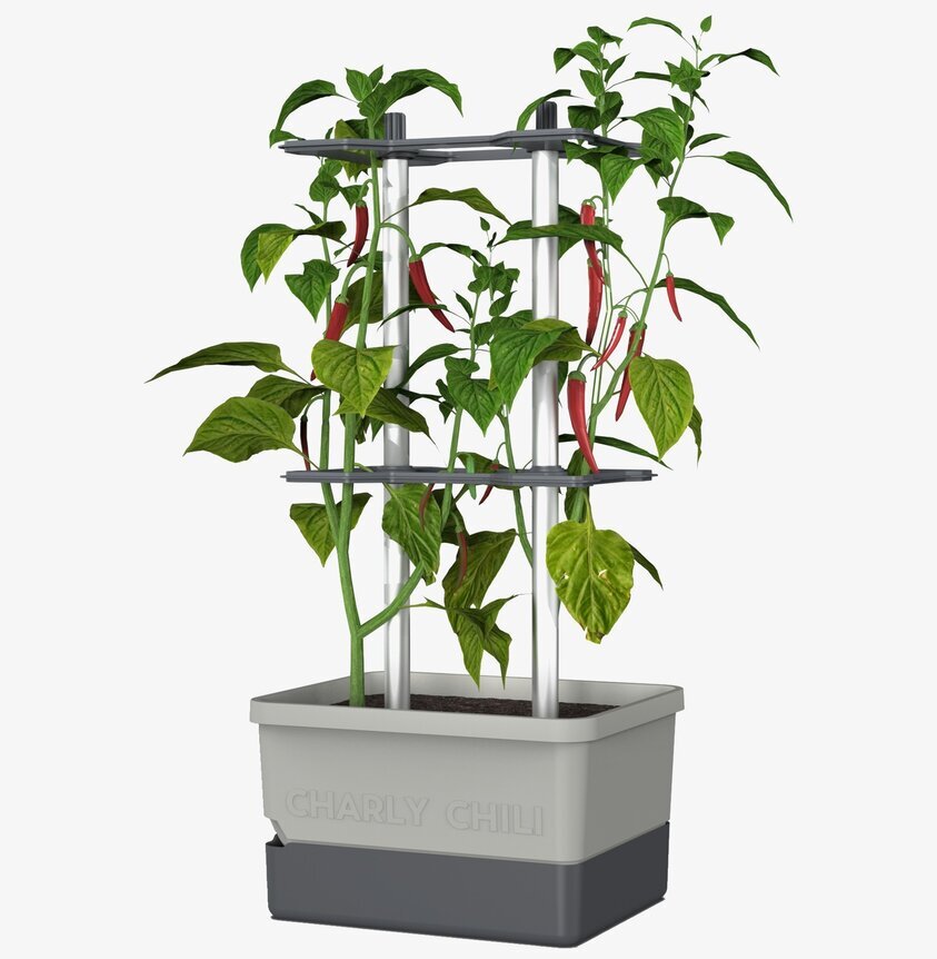 Charly Chili - Chilikruka Med Vattentank från Gardenlife