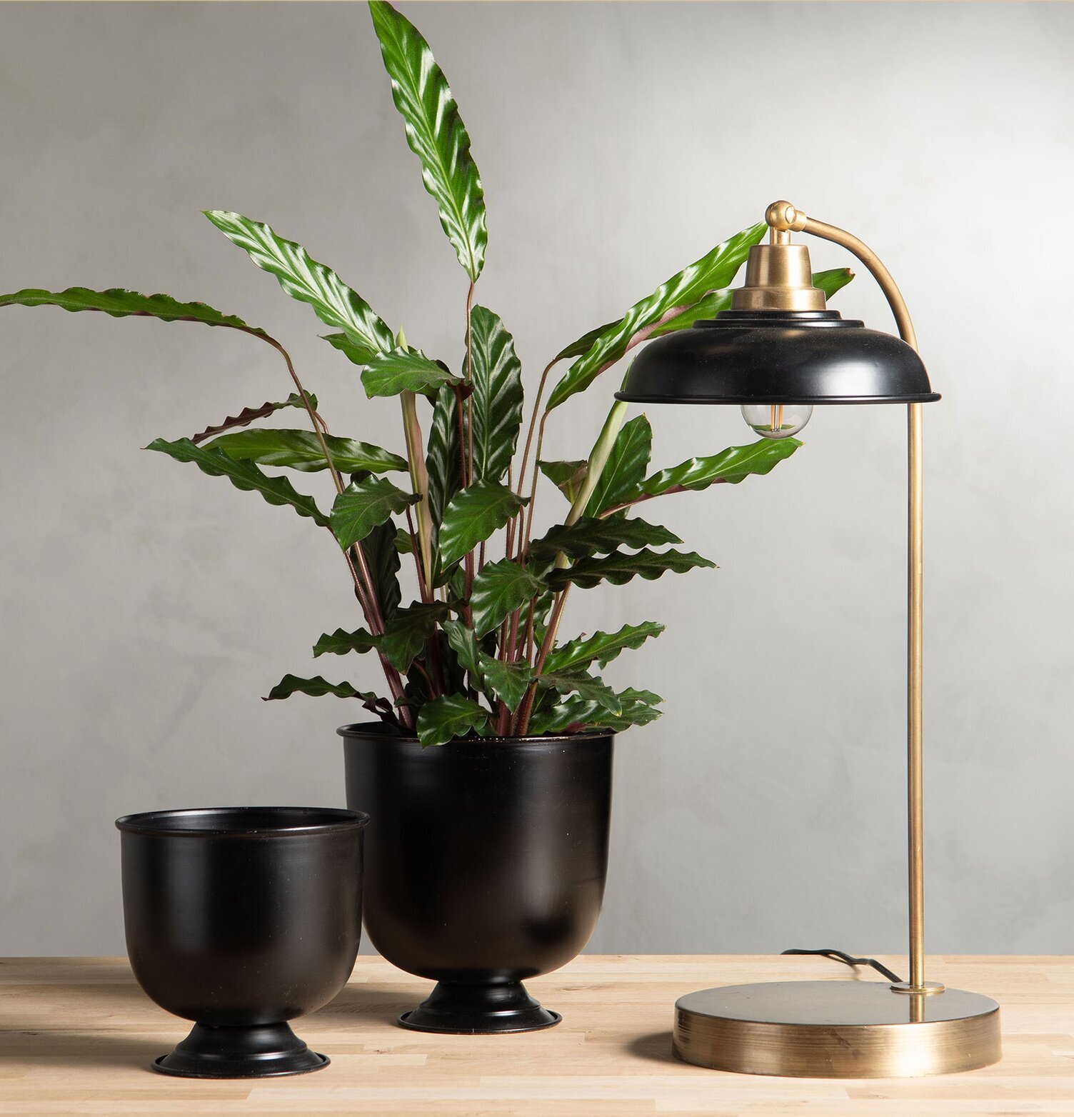 Bordslampa Noa Emalj Svart från A Lot Decoration på träyta