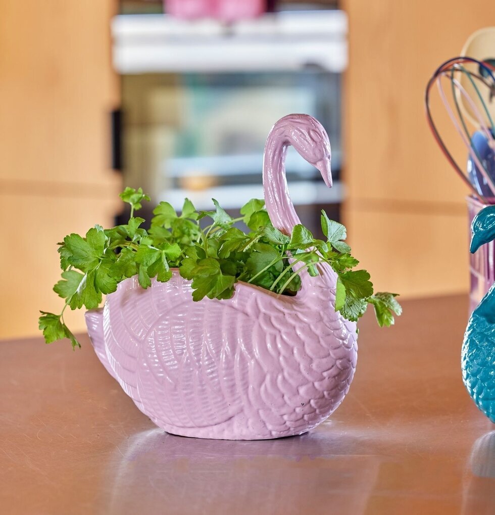 Blomkruka Svan Rosa från Rice på köksbord med bakgrund