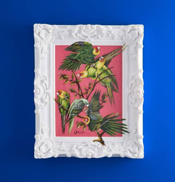 Tavla Coco från Werner Voss med papegojor på rosa bakgrund