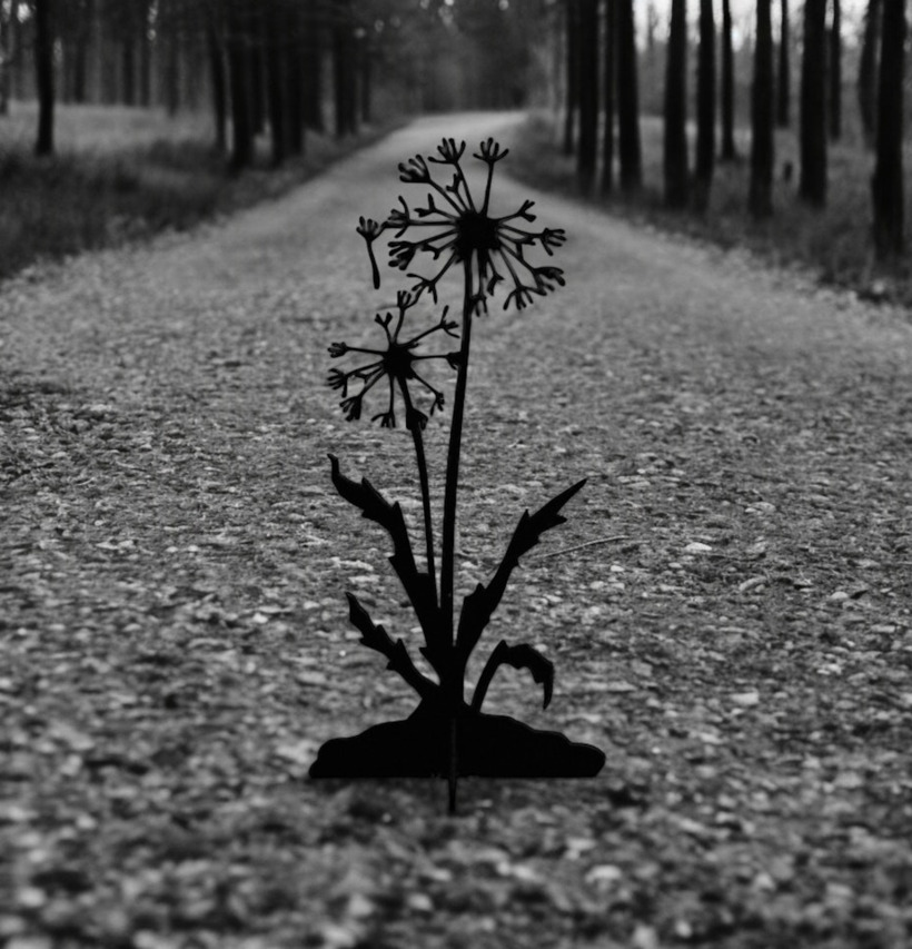#ÄlskaPlåt Maskros Svart från Älskaplåt på grusväg i skog