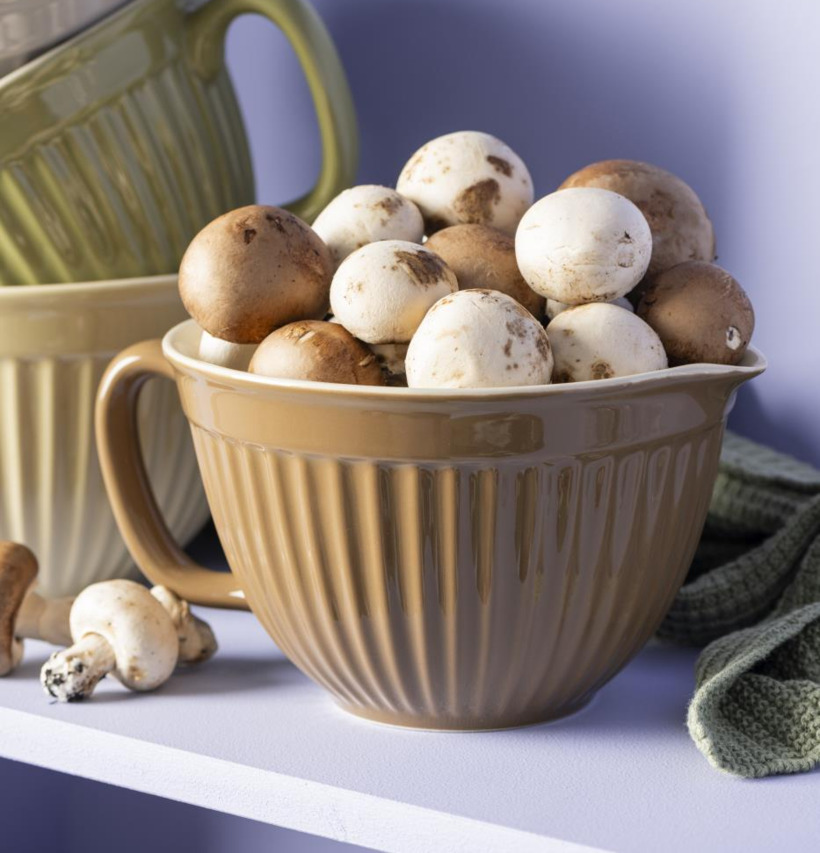 Vispskål Mynte Hazelnut från IB Laursen fylld med svamp