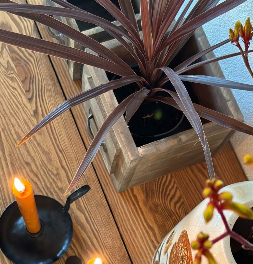 Trälåda Med Handtag XL från Miljögården med växt i.