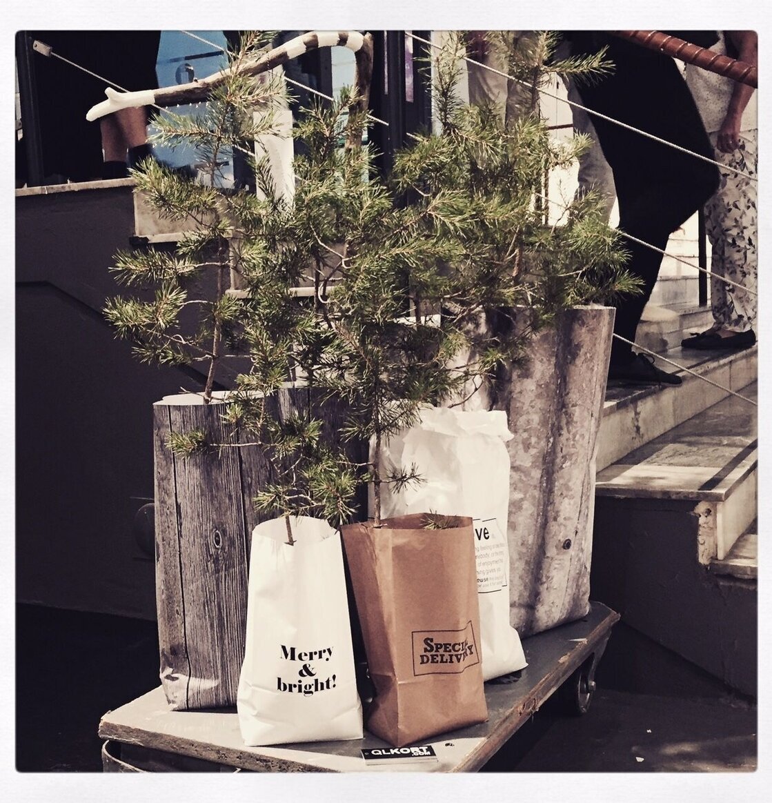 Presentpåse WOOD Qlkort från QLKort på lågvagn i trappuppgång