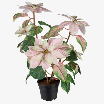 Höststjärna 45cm från Mr Plant, konstgjord växt i höstfärger