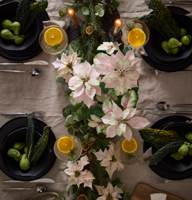 Höststjärna 45cm från Mr Plant på ett höstdekorerat bord