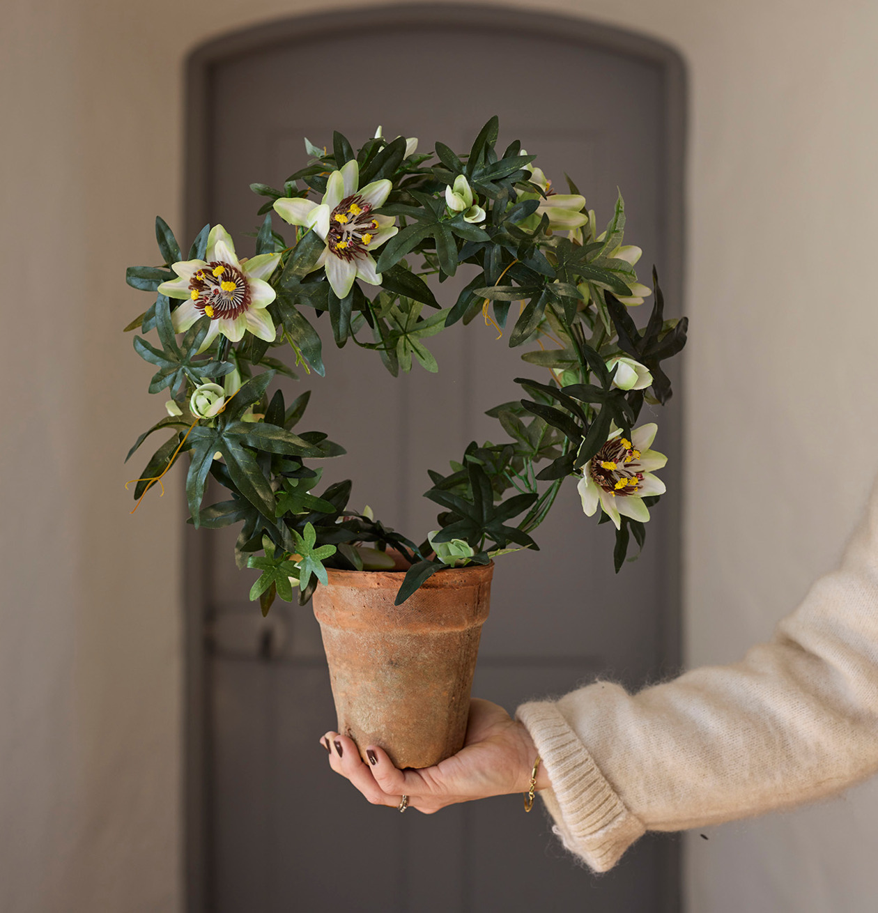 Passiflora Vit 40cm från Mr Plant i rustik terrakottakruka