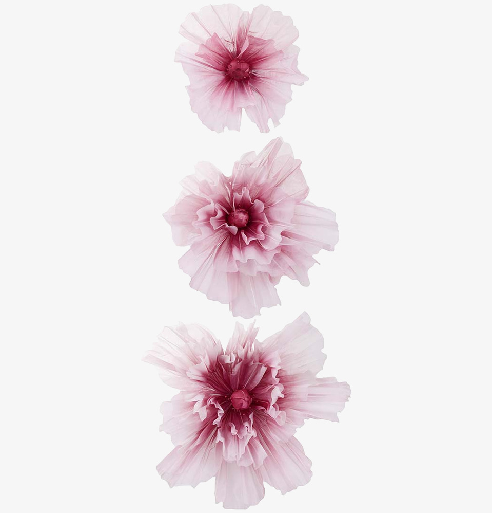 Blomma Fuchsia 3-Pack från Mr Plant mot vit bakgrund