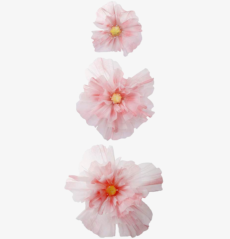 Blomma Rosa 3-Pack från Mr Plant i olika rosa nyanser