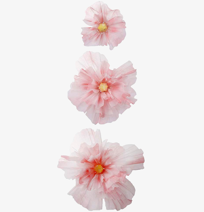 Blomma Rosa 3-Pack från Mr Plant i olika rosa nyanser