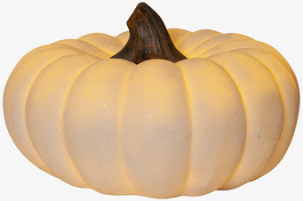 Dekoration Pumpa Sandy 20,5cm från Star Trading i beige nyans