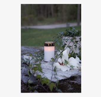 Gravljus LED Serene från Star Trading på en grönskande sten