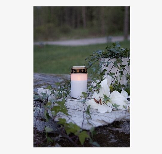 Gravljus LED Serene från Star Trading på en grönskande sten