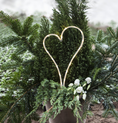 Gravljus LED Decoration Hjärta från Star Trading i kruka