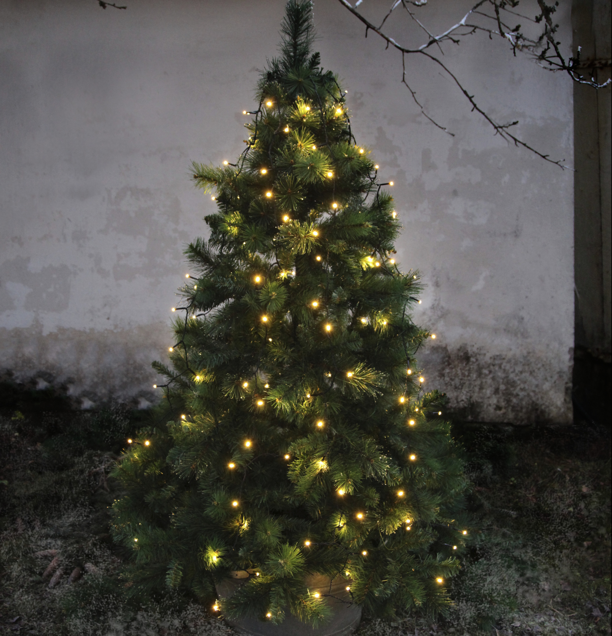 Julgransslinga LED från Star Trading på en utomhusgran