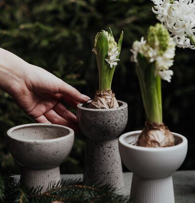 Lökvas Leryd Hög från Storefactory i naturlig miljö