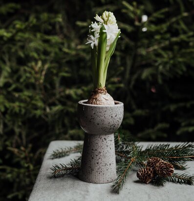 Lökvas Leryd Hög från Storefactory på grått bord med hyacint