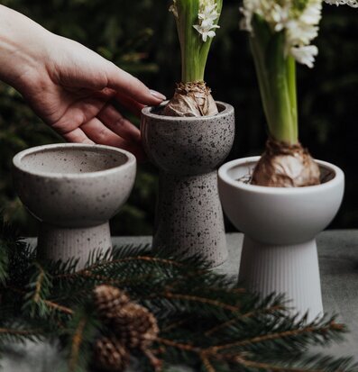 Lökvas Leryd Låg från Storefactory i naturlig miljö