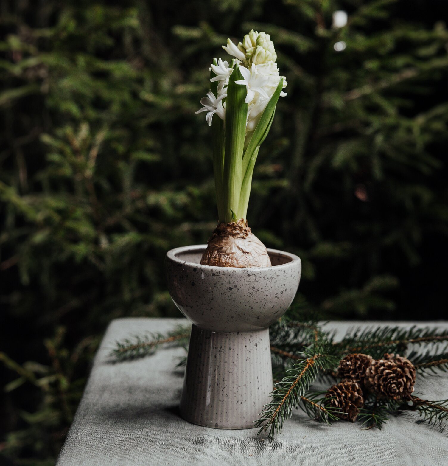 Lökvas Leryd Låg från Storefactory på grön duk med hyacint