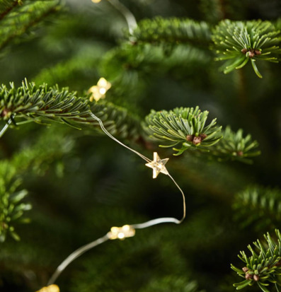 Ljusslinga Stjärnor från IB Laursen i en grön gran