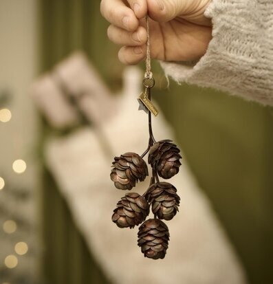 Hängande Gren Med Kottar från IB Laursen hålls av en hand