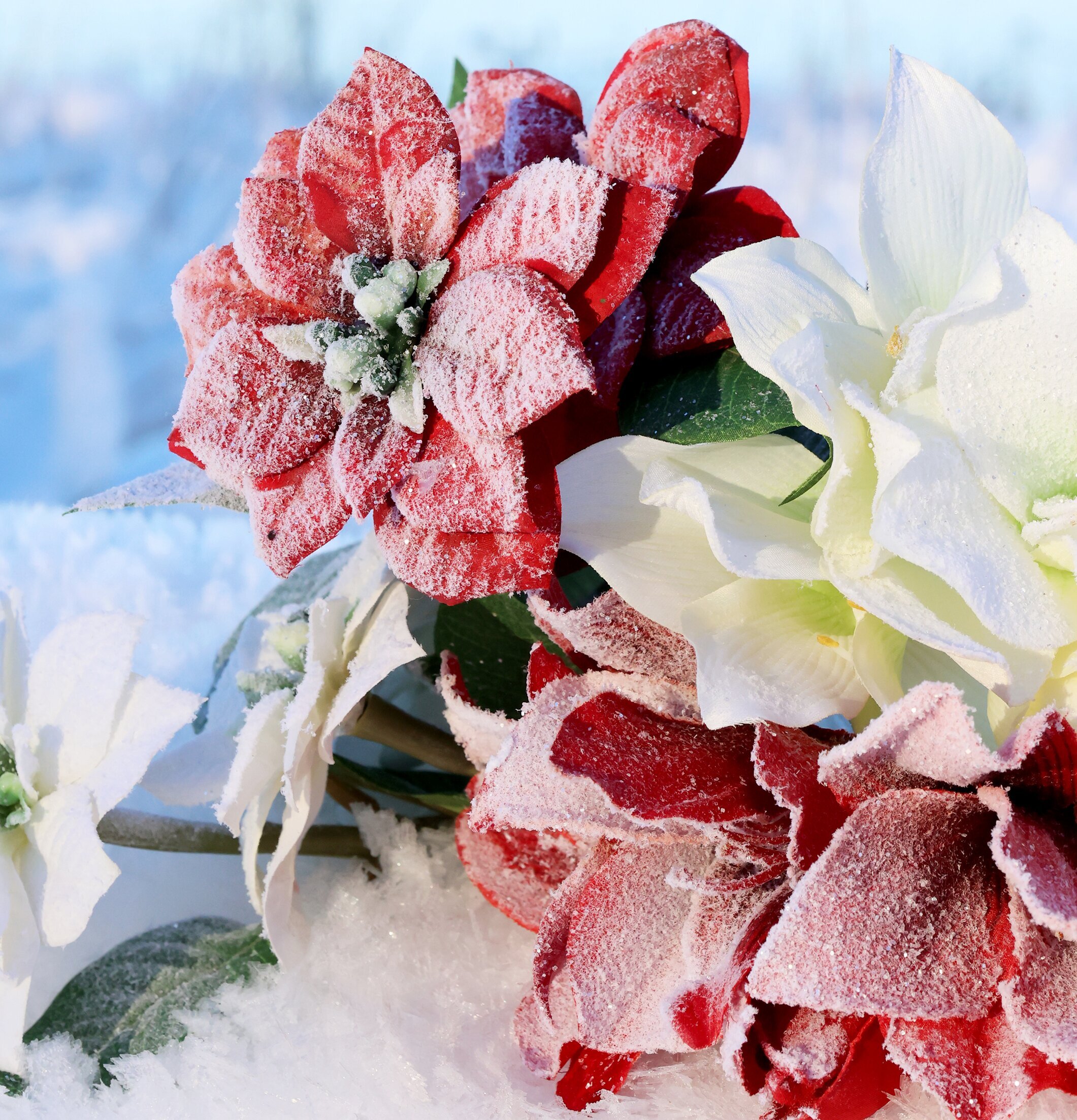 Fleur Julstjärna Snö/Glitter Antique Cherry från Chic Antique