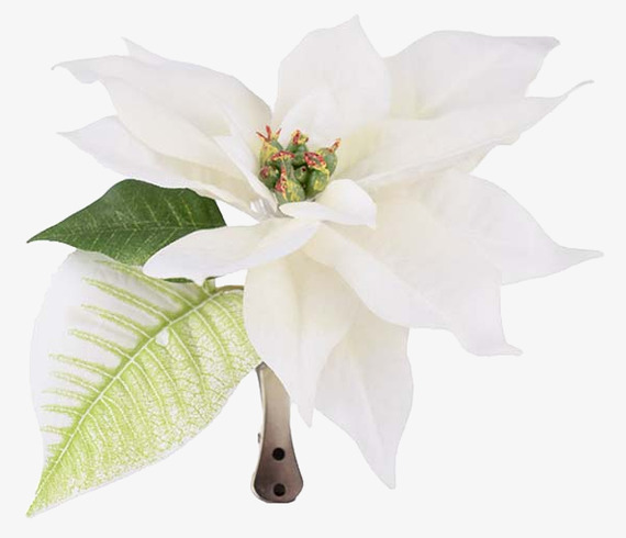 Julstjärna med clips Vit från Mr Plant i neutral miljö