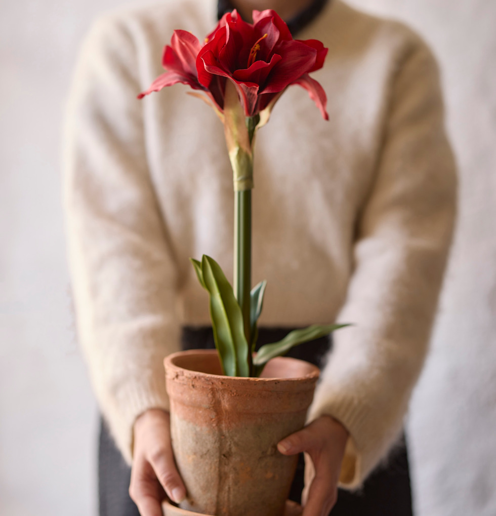 Amaryllis Röd från Mr Plant, konstgjord växt i terrakottakruka