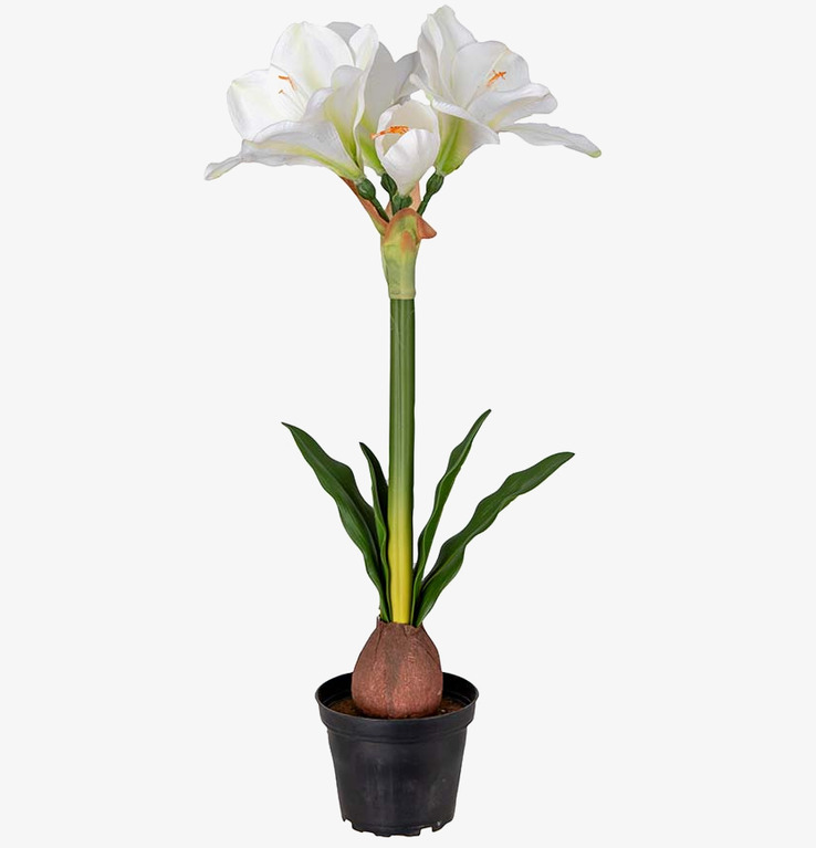 Amaryllis Vit från Mr Plant - konstväxt med vita blommor