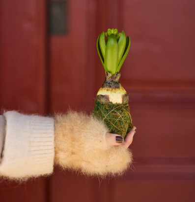 Hyacint Med Mossa Mr Plant Konstväxter Konstblommor Plastväxter Plastblommor