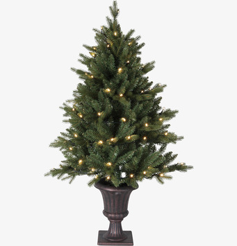 Julgran Med LED Byske från Star Trading i neutral miljö