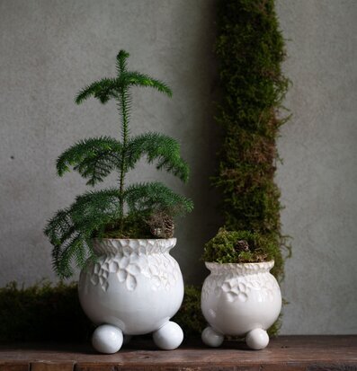 Bild av harmonisk inredning med stilfulla krukor