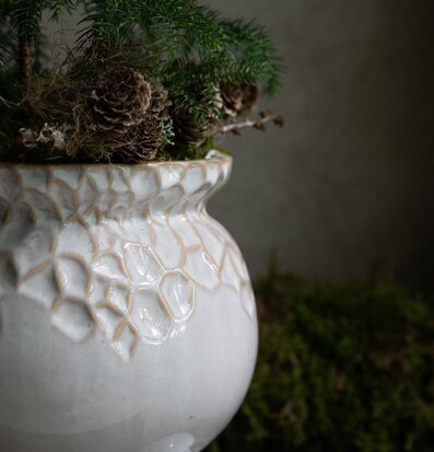 Bild av elegant kruka med växt i harmonisk inredning