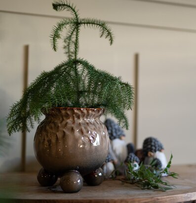 Anya Kruka Brunmelerad Stor Wikholm Form Krukor Örtkrukor Glaskrukor