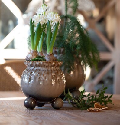 Anya Kruka Brunmelerad Stor Liten Wikholm Form Krukor Örtkrukor Glaskrukor